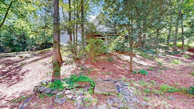 785 Milford Rd, Dingmans Ferry, PA 18328 - view of yard
