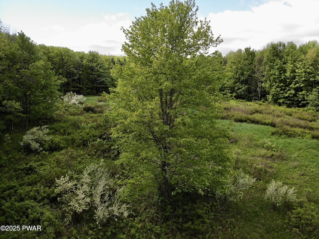 Dyberry Dr, Honesdale, PA 18431 - photo 5
