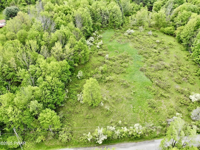 Dyberry Dr, Honesdale, PA 18431 - photo 7