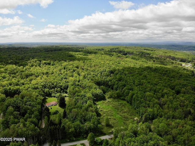Dyberry Dr, Honesdale, PA 18431 - photo 2