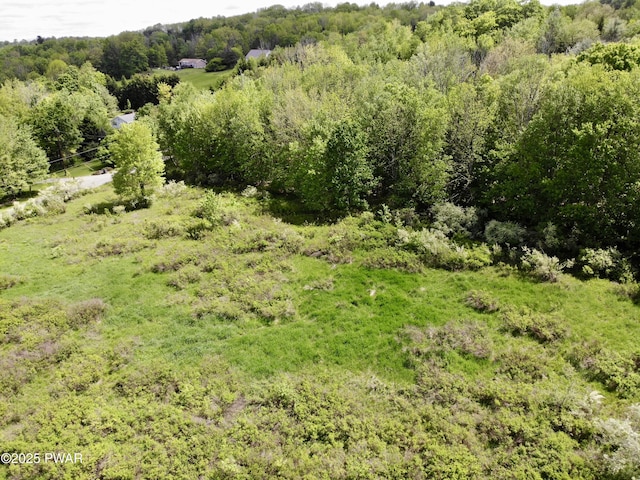 Dyberry Dr, Honesdale, PA 18431 - photo 3