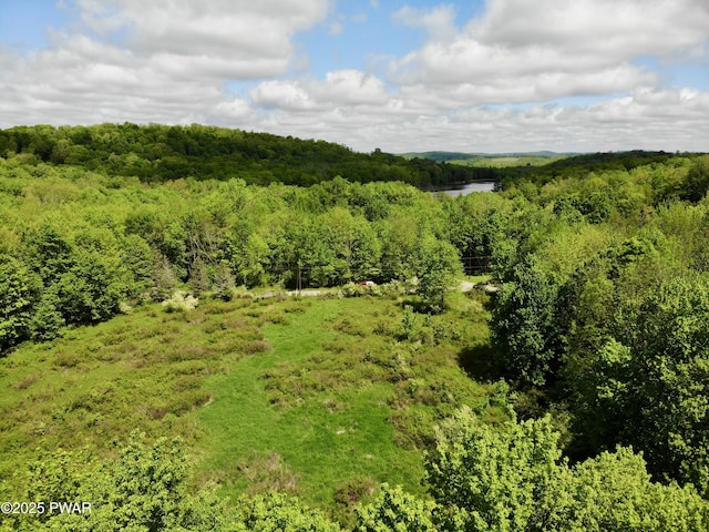 Dyberry Dr, Honesdale, PA 18431 - photo 4