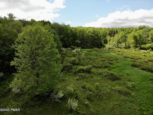 Dyberry Dr, Honesdale, PA 18431 - photo 1