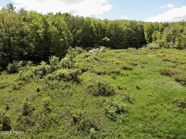Dyberry Dr, Honesdale, PA 18431 - photo 8