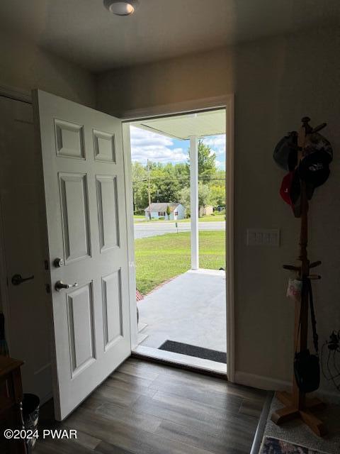 entrance foyer featuring dark hardwood / wood-style flooring