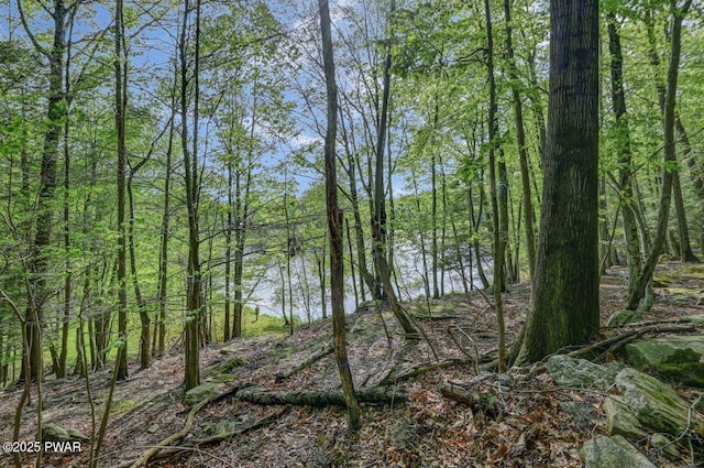 25 Deerfoot Rd, Lake Ariel, PA 18436 - view of wooded area