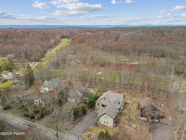 drone / aerial view