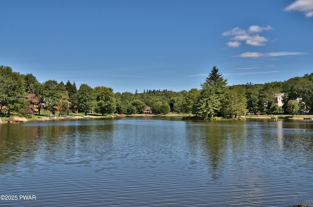 view of water feature featuring a view of trees
