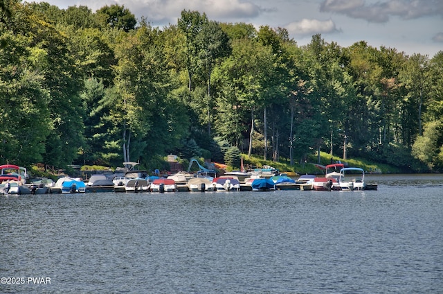 view of water feature featuring a dock and a view of trees