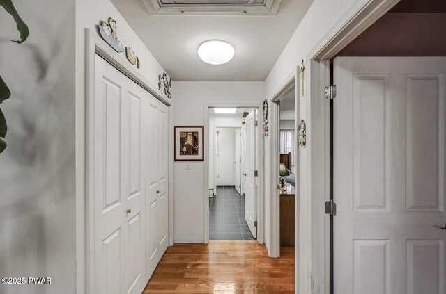 corridor featuring wood finished floors