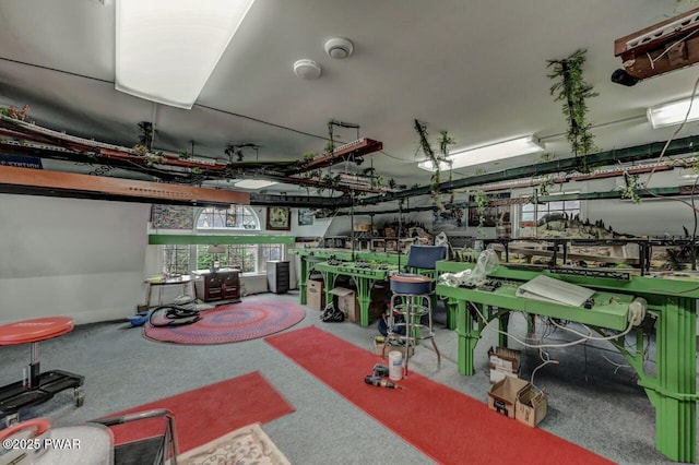 basement featuring a garage and plenty of natural light