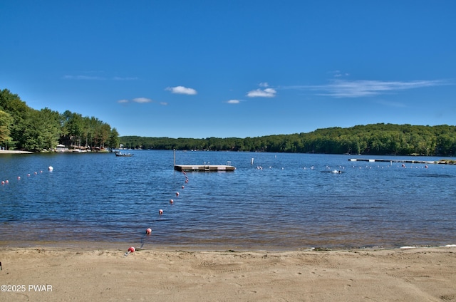 view of water feature featuring a wooded view and a dock