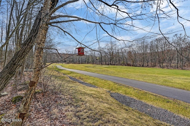 view of street featuring a view of trees