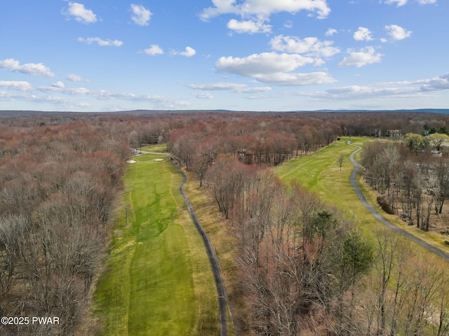 drone / aerial view featuring a view of trees