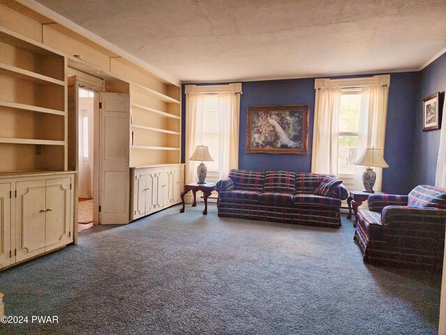 carpeted living room with built in shelves