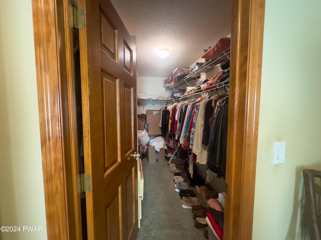 walk in closet with dark colored carpet