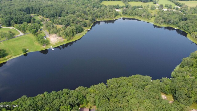 375 Welcome Lake Rd, Beach Lake, PA 18405 - photo 76