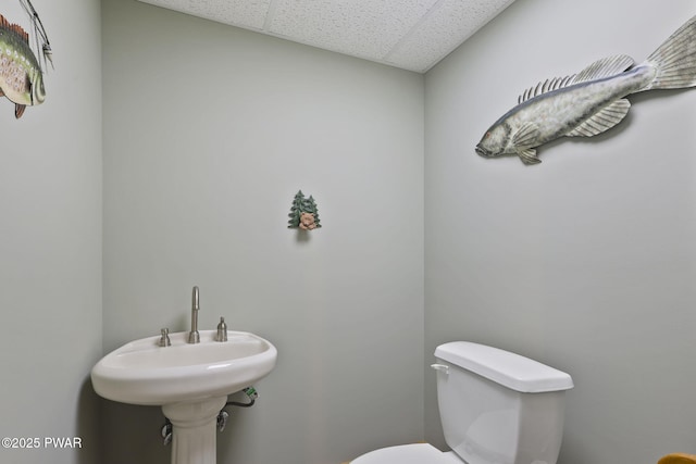 375 Welcome Lake Rd, Beach Lake, PA 18405 - photo 45