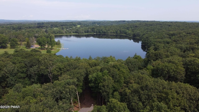 375 Welcome Lake Rd, Beach Lake, PA 18405 - photo 75