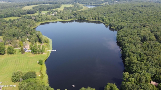 375 Welcome Lake Rd, Beach Lake, PA 18405 - photo 7
