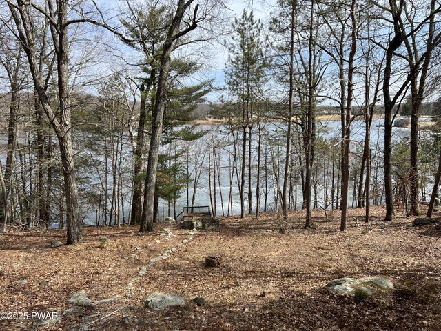 129 Waterview Dr, Lords Valley, PA 18428 - water view