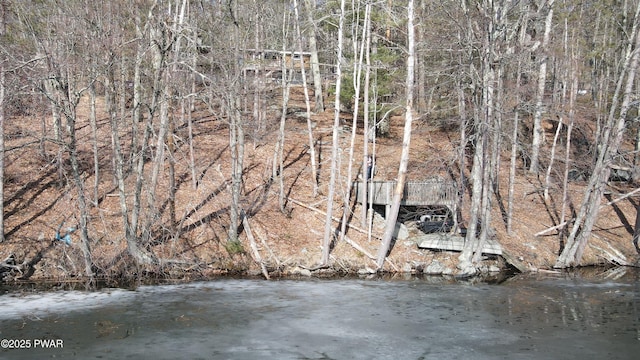 129 Waterview Dr, Lords Valley, PA 18428 - view of local wilderness
