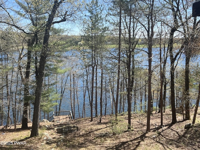 129 Waterview Dr, Lords Valley, PA 18428 - water view