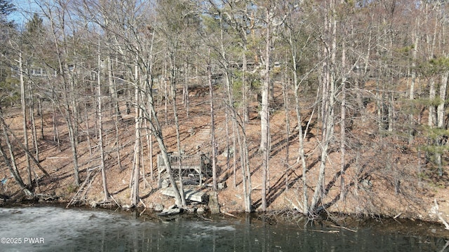129 Waterview Dr, Lords Valley, PA 18428 - view of nature