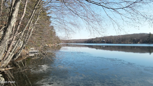 129 Waterview Dr, Lords Valley, PA 18428 - water view
