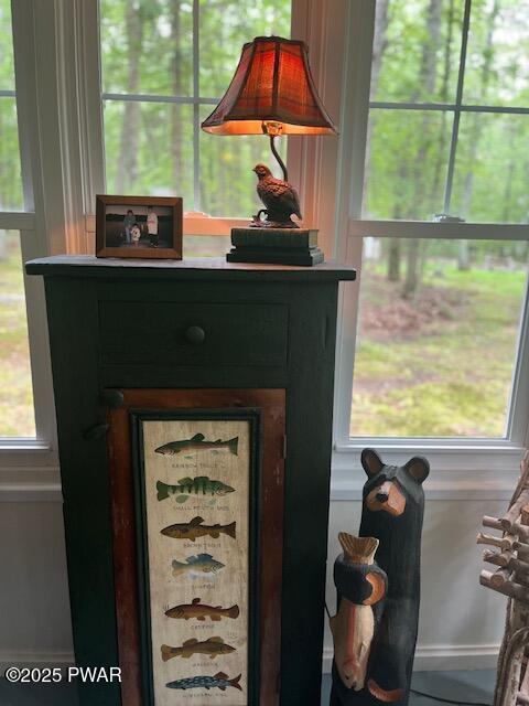 138 Lake Minisink Rd E, Dingmans Ferry, PA 18328 - detailed view
