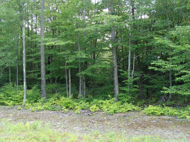 Listing photo 3 for 445 Summit Woods Rd, Roaring Brook Township PA 18444