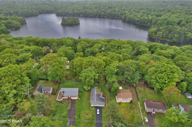 163 Wild Acres Dr, Dingmans Ferry, PA 18328 - view of property location with a heavily wooded area and a nearby body of water