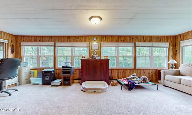 163 Wild Acres Dr, Dingmans Ferry, PA 18328 - carpeted living area with healthy amount of natural light, wooden walls, and baseboard heating