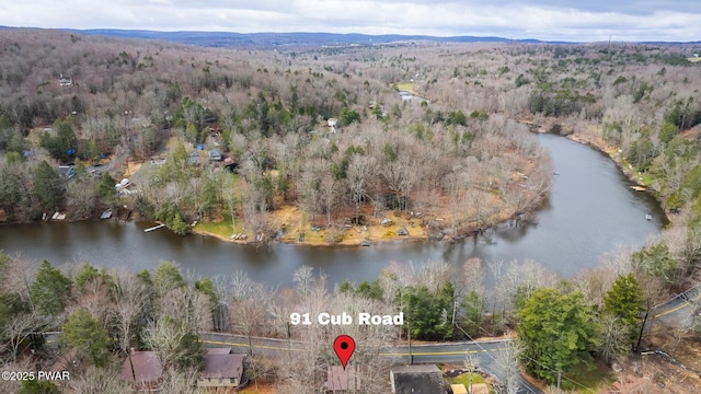 91 Cub Rd, Lake Ariel, PA 18436 - photo 3