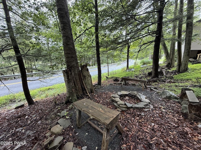 91 Cub Rd, Lake Ariel, PA 18436 - photo 6