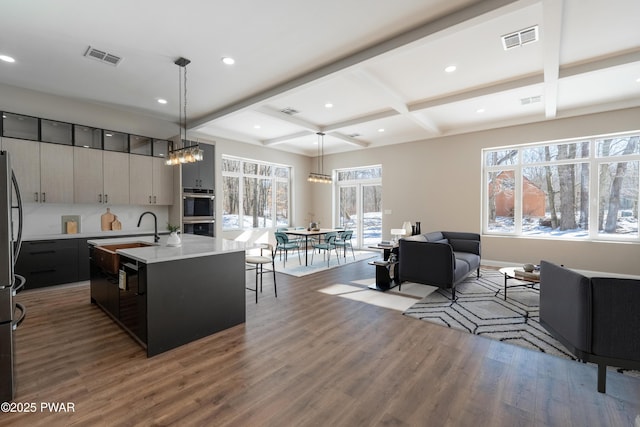 kitchen featuring an island with sink, sink, wood-type flooring, and pendant lighting