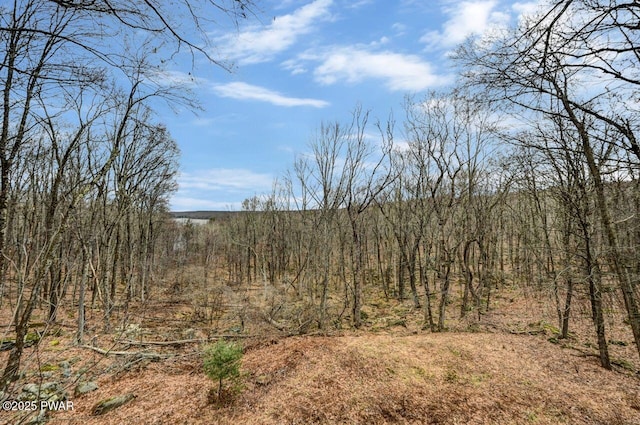 view of landscape