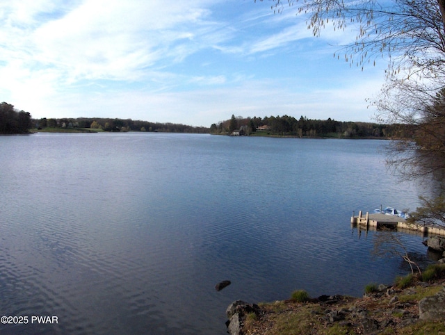 water view featuring a boat dock