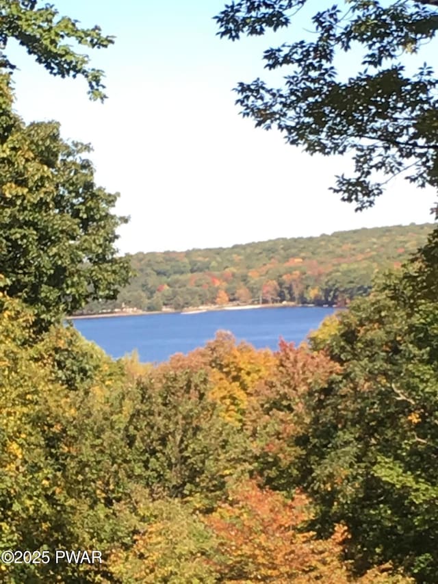 view of water feature