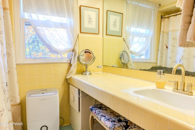 bathroom with sink