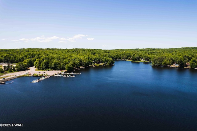 bird's eye view featuring a wooded view and a water view