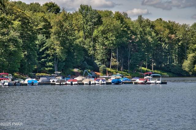 property view of water with a view of trees and a boat dock