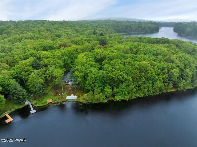 105 Cherry Point Ct, Hawley, PA 18428 - bird's eye view of a large body of water and a heavily wooded area