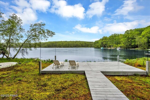 105 Cherry Point Ct, Hawley, PA 18428 - dock with a water view and a forest view