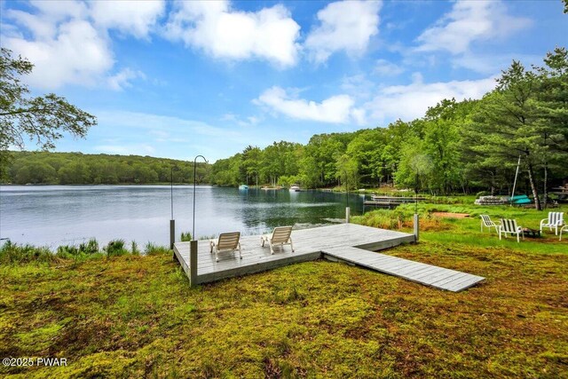 105 Cherry Point Ct, Hawley, PA 18428 - dock area with a wooded view and a water view
