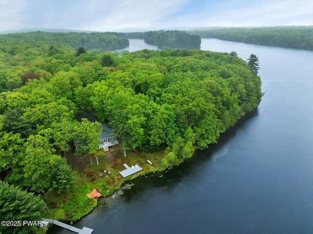 105 Cherry Point Ct, Hawley, PA 18428 - aerial view of a large body of water and a heavily wooded area