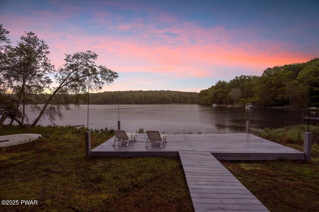 105 Cherry Point Ct, Hawley, PA 18428 - dock with a water view and a forest view