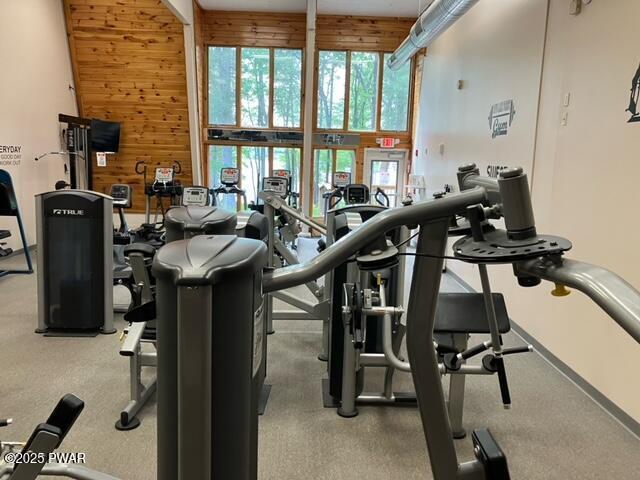 105 Cherry Point Ct, Hawley, PA 18428 - gym with carpet floors