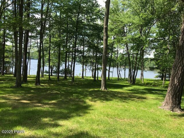 105 Cherry Point Ct, Hawley, PA 18428 - view of green lawn featuring a water view