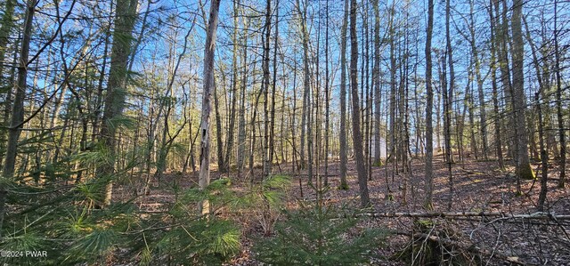 LOT57.1 Yulan-Barryville Rd, Barryville, NY 12719 - photo 6